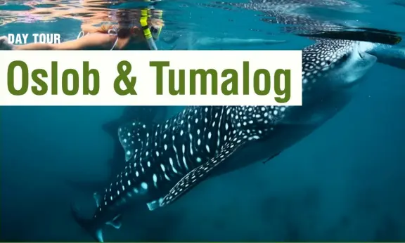 SMEAG 12 Filipinler Dil Okulları SMEAG